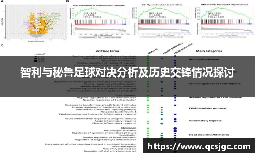 智利与秘鲁足球对决分析及历史交锋情况探讨